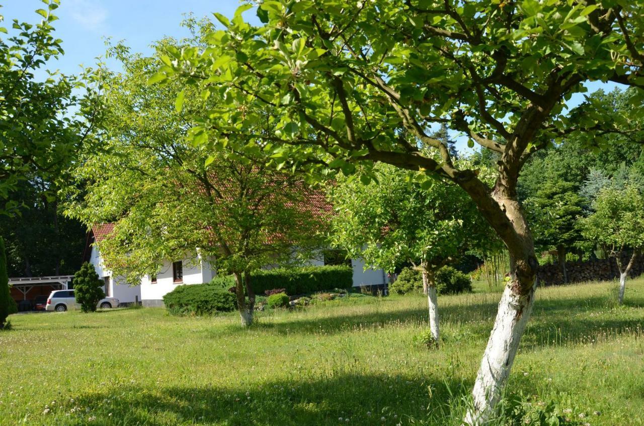 Kwatery Przy A4 Dabrowa Boleslawiecka Dış mekan fotoğraf